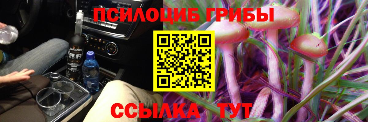 Галлюциногенные грибы Psilocybe  купить наркотики сайты  Можайск  Вход с VPN 