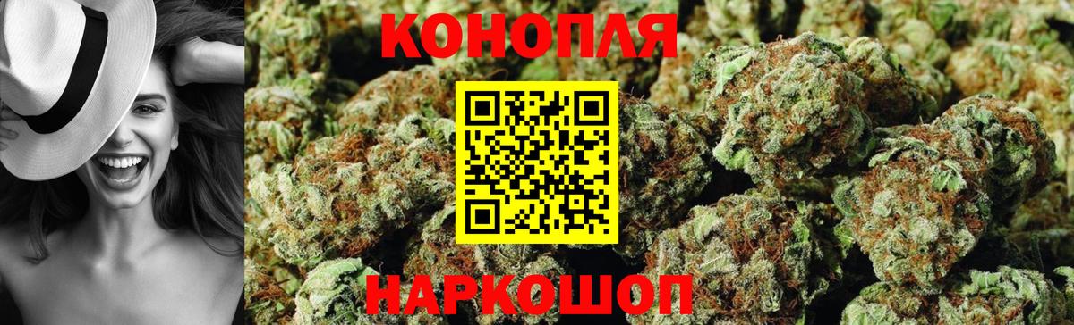 Бошки марихуана конопля Можайск